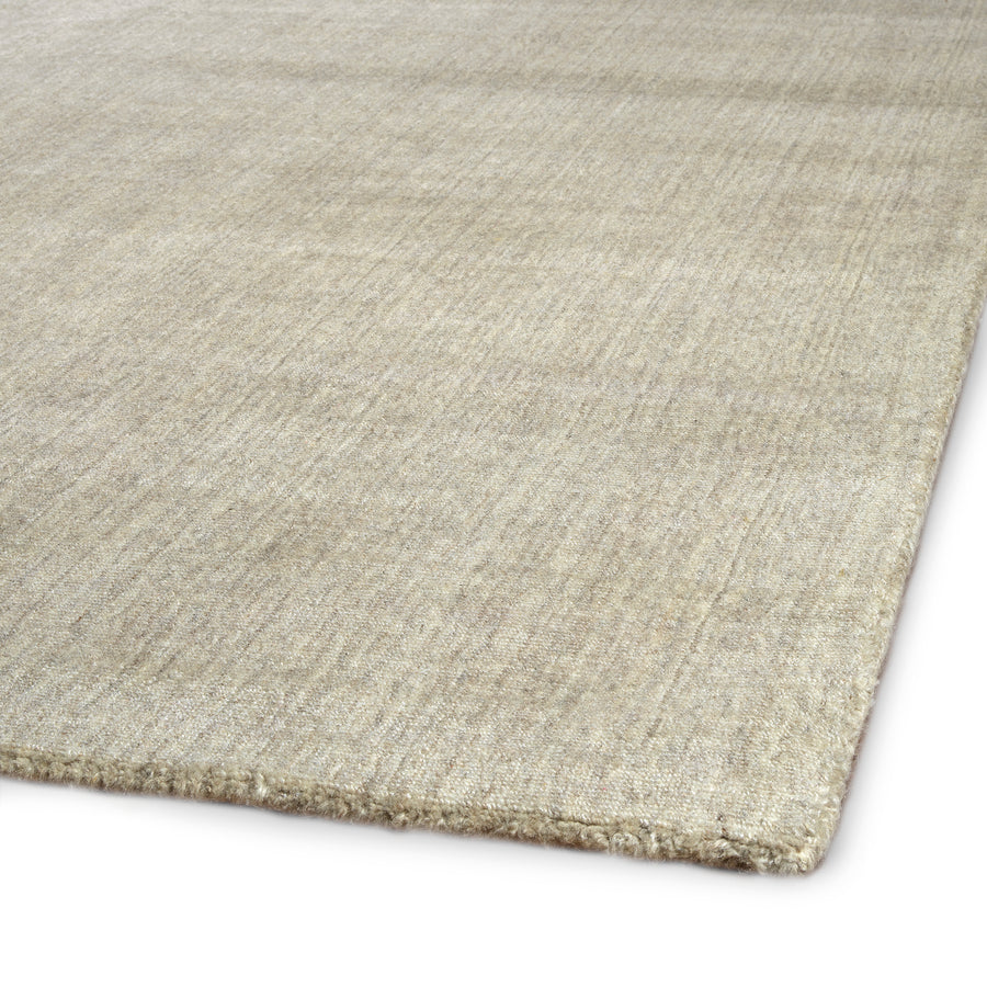 Sabra sample in Fossil